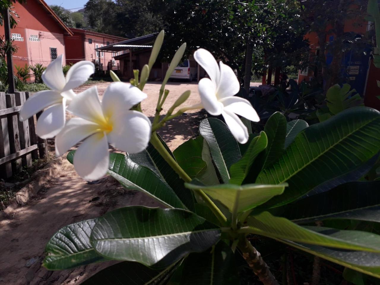 Lanta Lucky House Hotel Ko Lanta Exterior foto